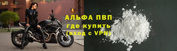 хмурый Куровское